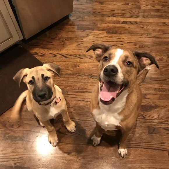 Meet your Posher, Amanda - Picture 6 of 6